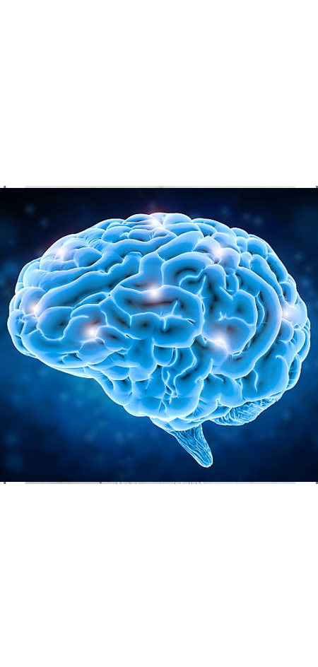 effects of drugs on the brain